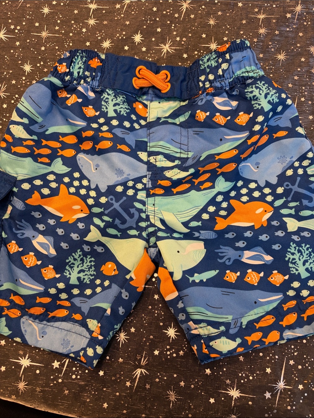 Toddler boys swim trunks
